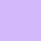 Premium Flexfolie 25cm x 100cm Violett